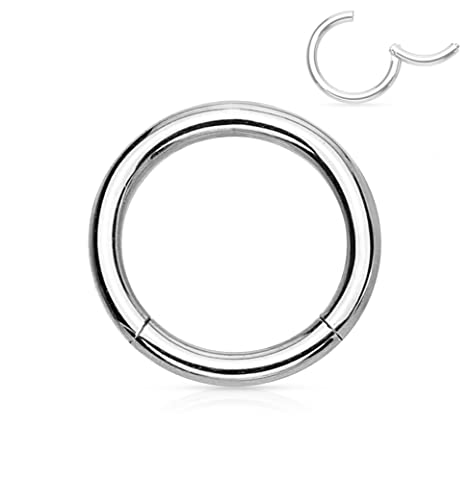 Forbidden Body Jewelry 316L Surgical Steel Hinged Seamless Nose Rings Hoop 14G 16G 18G, Diameter 6mm 8mm 10mm 12mm, Gold/Rose Gold/Silver/Black/Rainbow Colors. - style: 14g 8mm - Silver