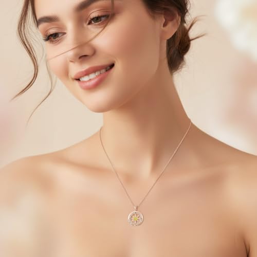 Compass Necklace for Women Wife Girlfriend Mom Daughter Gifts | S925 Silver Jewelry For Anniversary 18K Rose Gold Gifts For Birthday Christmas Mothers Valentines Day 12 Birthstones - style: 11-November-Rose Gold