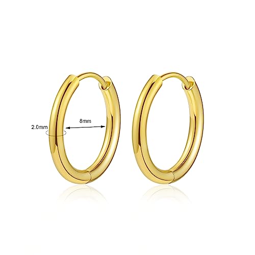 Titanium Huggie Hoop Earrings Hypoallergenic Nickel Free Hinged Sleeper Earrings for Sensitive Skin Cartilage Helix Lobes - style: gold 8mm