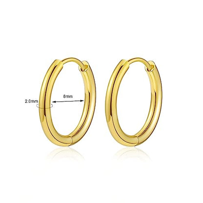 Titanium Huggie Hoop Earrings Hypoallergenic Nickel Free Hinged Sleeper Earrings for Sensitive Skin Cartilage Helix Lobes - style: gold 8mm