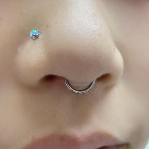 20G 18G 16G 14G 12G 10G Surgical Steel Hinged Clicker Segment Nose Rings Hoop Lip Rings Helix Cartilage Daith Tragus Sleeper Earrings Body Piercing for Women Men 6mm 8mm 10mm 12mm 14mm 16mm - color: Black-20G（0.8mm)-Inner Diameter: 7mm 8mm 9mm 10mm