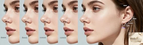 16Gauge earrings nosering clicker hoop Hypoallergenic body piercing ring | 6-14mm/6-12mm/Stainless Steel Gold/Silver,Septum Rings Hinged Clicker, Helix Cartilage Daith Tragus,Sleeper Hoop,Piercing - color: 16G 6-8-10-12-14mm Silver