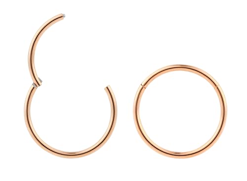 365 Sleepers 2Pcs G23 Titanium 18G (Standard Fit) Hinged Segment Ring Hoop – Implant Grade Nickel Free Septum Nose Lip Helix Tragus Earring Body Piercing Jewelry, 6mm- 13mm - style: 8mm Rose