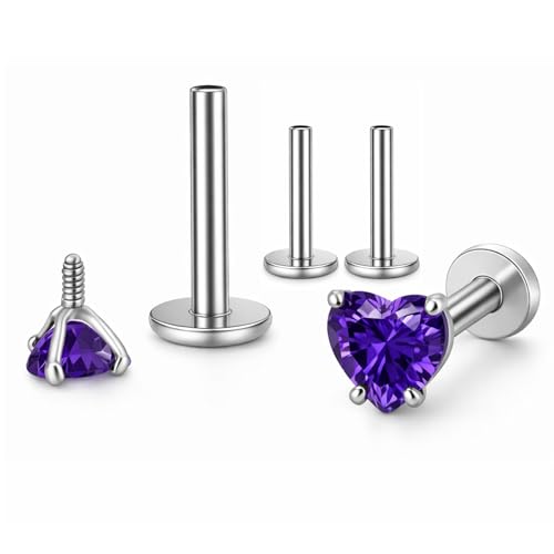 Titanium Heart CZ Labret Stud Earrings for Piercings by Ginger Lyne 6Pc Set G23 Screw Front Flat Back Body Jewelry 2 pair post 6mm, 8mm Cartilage, Helix, Tragus, Lip, Conch, Lobe - color: 5mm-DKPurple