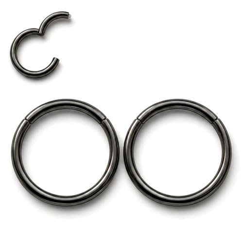 AMASIS Nose Rings and Nose Studs Set, Stainless Steel Hinged Nose Hoops and CZ Studs, Select Sizes and Styles for Nostril Septum Cartilage Piercing Jewelry - color: Black, size: 2-Piece Hoops,18Gauge,8mm