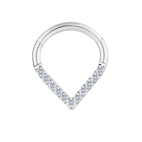 HQLA 16G Nose Hoop Ring Septum Ring Clear CZ Daith Earring Surgical Steel Hinged Segment Seamless Clicker Tragus Rook Helix Cartilage Conch Hoop Piercing Jewelry for Women men 8mm 10mm - style: 16G-8MM-Teardrop-Steel