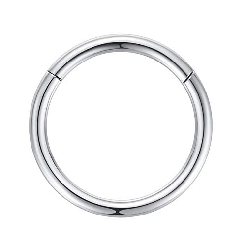 ORANGELOVE Hypoallergenic Nose Rings 20G 18G 16G 14G 12G 10G 8G 316l Surgical Steel Septum Jewelry Hinged Segment Ring Body Piercing Nose Hoop Lip Rings Nose Helix Cartilage Rook Earrings - color: Silver, size: 1pc 10 Gauge 14mm