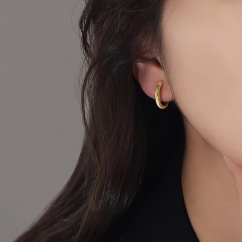 2 Pairs Clip On Hoop Earrings for Women 14K Gold Plated Non Pierced Small Clip On Huggie Hoops Adjustable No Piercing Fake Earrings