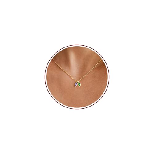2026 Graduation Gifts Birthstone Necklace for Women Dainty Gold Necklace with 2 Birthstone Birthday Gift for Her Teen Girl Gift Trendy Stuff for Her Mom Daughter Girlfriend Friend Christmas Stocking Stuffers - color: 02-05 Feb & May, style: Leaf