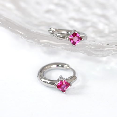 316L Surgical Steel Birthstone Hoop Earrings for Women | Lightweight, 5A Cubic Zirconia, Hypoallergenic, Lead & Nickel Free, 8mm Huggie Hoops - color: Silver: 07. July (Ruby)