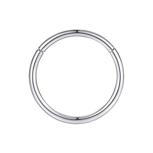 ORANGELOVE Hypoallergenic Nose Rings 20G 18G 16G 14G 12G 10G 8G 316l Surgical Steel Septum Jewelry Hinged Segment Ring Body Piercing Nose Hoop Lip Rings Nose Helix Cartilage Rook Earrings - color: Silver, size: 1pc 16 Gauge 7mm
