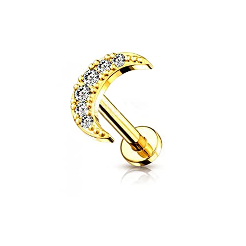 16G Crescent Moon 361L Surgical Stainless Steel Labret Helix Stud for Women Girls Men Unisex Cubic Zirconia Crystal Moon Cartilage Studs Earrings Monroe Piercing Hypoallergenic Nose Ring Cool Body Jewelry