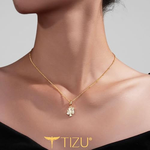 TIZU Initial Necklaces for Women - Dainty 14K Gold Plated Letter Pendant Trendy Personalized Initial A-Z Necklaces Jewelry Gift - color: Gold-F
