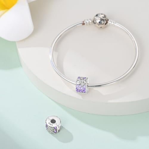 925 Sterling Silver Stopper Clip Charms for Bracelet Necklace Spacer Beads with 5A Cubic Zirconia Mother's Day Christmas DIY Gift for Women(2PCS) - style: Harvest Grapes