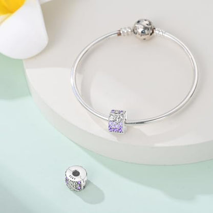 925 Sterling Silver Stopper Clip Charms for Bracelet Necklace Spacer Beads with 5A Cubic Zirconia Mother's Day Christmas DIY Gift for Women(2PCS) - style: Harvest Grapes