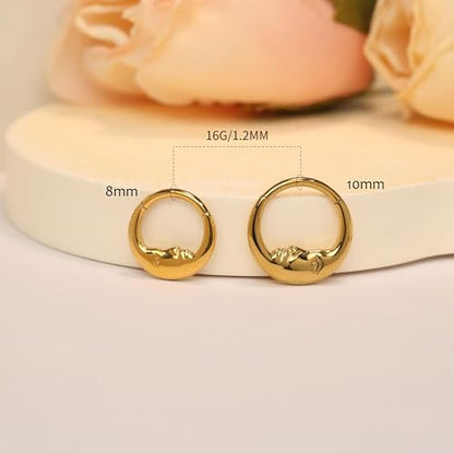 Cartilage Daith Earrings For Women Small 14K Gold Plated Hoop Hypoallergenic Helix Piercing Huggie Surgical Steel Diamond Implant Cubic Zirconia Prom Gift Jewelry - color: Style11-Gold, size: 16g-8mm
