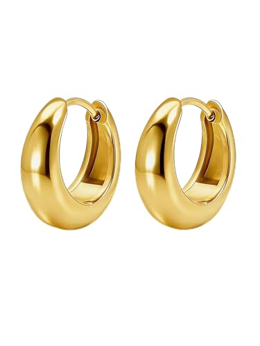 Chunky Small Hoop Earrings for Women 14mm/16mm/19mm Stainless Steel Huggie Earrings Everyday Jewelry Gift for Wife Mom, with Gift Box - color: Gold 16mm