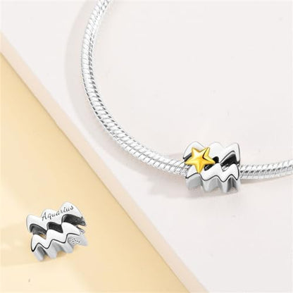 925 Sterling Silver 12 Astrological Signs Charm for Bracelets and Necklace Happy Birthday Charms for Bracelet and Necklace Valentine's Day Mother's Day Gift - style: Aquarius Charm