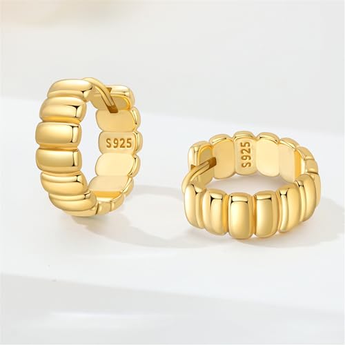 Sterling Silver 18K Gold Plated Women's Earrings Hypoallergenic Hoops, Dainty Trendy Jewelry Gift - color: Golden | Modern Square Hoop Earrings