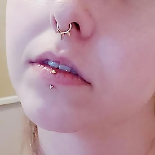 Eyebrow Piercing Jewelry F136 Titanium Internally & externally Threaded Curved Barbell Vertical Labret Lip Jewelry Ear Rook Navel Belly Button Ring Women Men 20g 18g 16g 6mm/8mm/10mm/12mm - color: F136 titanium Eyebrow Piercing Jewelry 16G