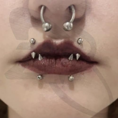 ZS 18Pcs Spike Eyebrow Piercing Jewelry, 16G Curved Barbell Vertical Labret Lip Rings, Spike Tragus Helix Earrings Rook Nose Bridge Rings for Women Men - color: A:Sliver,straight+curved barbell