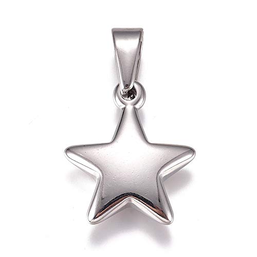 DanLingJewelry 10Pcs Stainless Steel Star Charms Metal Five Pointed Stars Shaped Charms Celestial Star Hanging Pendants for DIY Jewelry Making