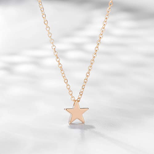 Valloey Rover Gold Necklaces for Women | Dainty 14K Gold/Sterling Silver Plated Cubic Zirconia Star Moon Pendant Necklaces Twist Rope Chain Simple Jewelry for Women - style: Gold-Star