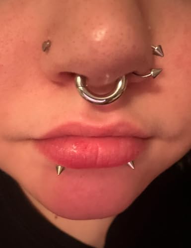 20G-2G Surgical Steel Hinged Clicker Septum Nose Rings Gauges Earrings Seamless Hoops Eyebrow Lip Ring Cliker Helix Tragus Daith Rook Earrings for Women Men - color: Silver, size: 6G(4mm)-12/14/16/19mm