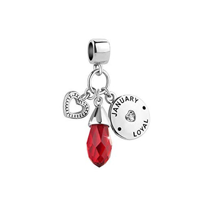 Women Charm for Bracelets Love Heart Dangle Silver Clear CZ Beads Birthstone Bracelet Charms for Daughter Women Wife, Blue Pink Clear - style: JANUARY