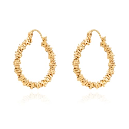 Milan Chiva Acrylic Gold Hoop Statement Dainty Summer Earrings | Brown Resin Chunky Huggie Vintage Earrings | Clear Enamel Drop Earring Lightweight Hypoallergenic Trendy Jewelry Gifts for Women - color: G-Gold