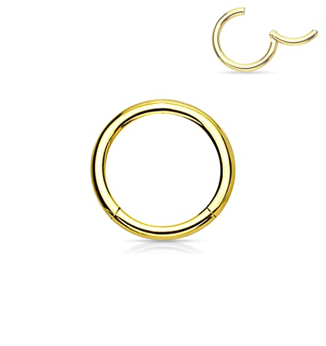 Forbidden Body Jewelry 316L Surgical Steel Hinged Seamless Nose Rings Hoop 14G 16G 18G, Diameter 6mm 8mm 10mm 12mm, Gold/Rose Gold/Silver/Black/Rainbow Colors. - style: 16g 6mm - Gold