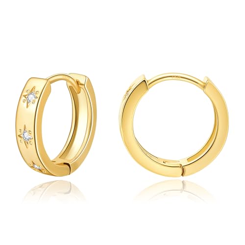 DAILY VIBES Dainty Small Star Huggie Hoop Earrings for Women Trendy | 925 Sterling Silver Post, 14K Gold or Silver Plated, Mini Cubic Zirconia, Cartilage Hoop Earrings - color: Gold Mini Star