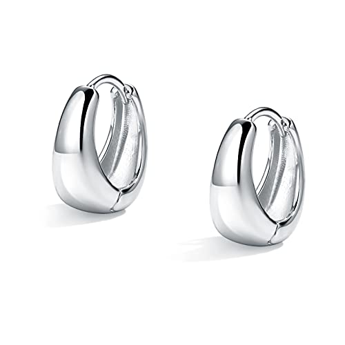 Me&Hz Gold Huggie Earrings Small Huggie Hoop Earrings for Women 14K Gold Plated Hypoallergenic Cubic Zirconia Huggies Mini Silver Hoop Earring for Women - color: Teardrop,Silver