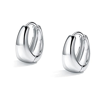 Me&Hz Gold Huggie Earrings Small Huggie Hoop Earrings for Women 14K Gold Plated Hypoallergenic Cubic Zirconia Huggies Mini Silver Hoop Earring for Women - color: Teardrop,Silver