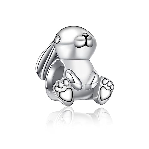 Bible Family Mom Wife Love Heart Dangle Charm 925 Sterling Silver Charms fits Bracelets and Necklace Pendant Bead Charms Jewelry Present for Women Family Friends - style: Cute Rabbit Charm