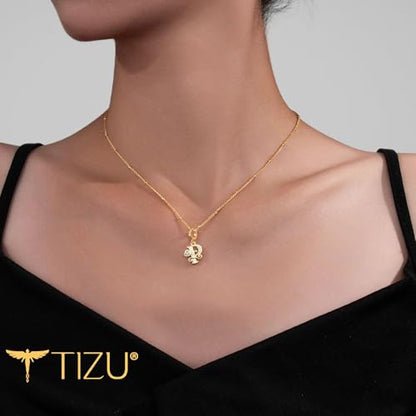 TIZU Initial Necklaces for Women - Dainty 14K Gold Plated Letter Pendant Trendy Personalized Initial A-Z Necklaces Jewelry Gift - color: Gold-P