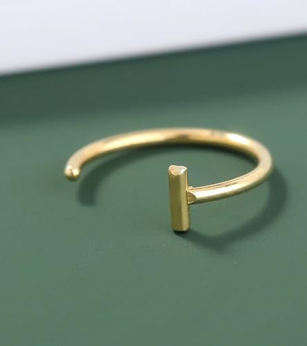 QWALIT Fake Nose Ring Fake Lip Piercing Fake Lip Ring Fake Nose Ring Hoop Fake Snake Bites Fake Lip Piercings Faux Lip Rings Fake Nose Piercing Clip on Nose Ring Spring - color: D3-2 styles-silver/gold