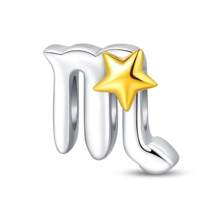 925 Sterling Silver 12 Astrological Signs Charm for Bracelets and Necklace Happy Birthday Charms for Bracelet and Necklace Valentine's Day Mother's Day Gift - style: Scorpio Charm