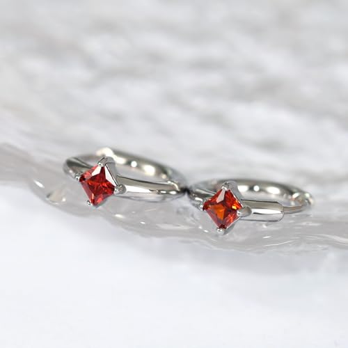 316L Surgical Steel Birthstone Hoop Earrings for Women | Lightweight, 5A Cubic Zirconia, Hypoallergenic, Lead & Nickel Free, 8mm Huggie Hoops - color: Silver: 01. January (Garnet)
