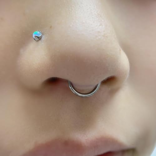 20G-2G Surgical Steel Hinged Clicker Septum Nose Rings Gauges Earrings Seamless Hoops Eyebrow Lip Ring Cliker Helix Tragus Daith Rook Earrings for Women Men - color: Silver, size: 16G(1.2mm)-6/7/8/9/10/12mm
