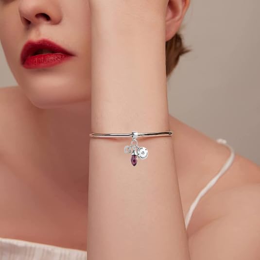 GMXLin Birthstone Birthday Charms Teardrop Love Heart Dangle Bead Compatible With Pandora Charms Bracelets - style: June Birthstone