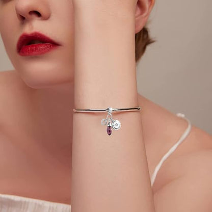 GMXLin Birthstone Birthday Charms Teardrop Love Heart Dangle Bead Compatible With Pandora Charms Bracelets - style: June Birthstone