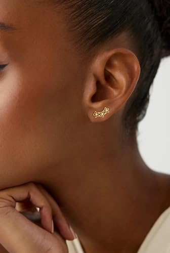 Robaice Cartilage Climber Earrings for Women，14K Gold Plated Helix Stud | Trendy Cluster Earrings, CZ Stud Earring, Tragus Conch Daith Piercing, Ear Crawer,Hypoallergenic Jewelry Gift for Women - color: G-Gold Flower