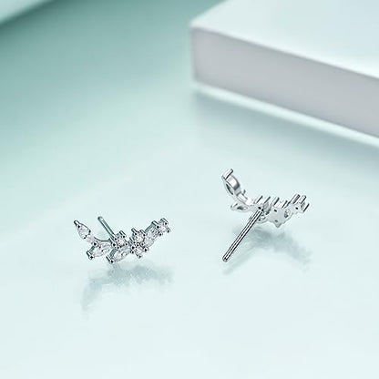 Rnivida 925 Sterling Silver Dainty Cz Climber Stud Earrings, Hypoallergenic Small Cubic Zirconia Ear Crawler Earring for Women - color: Cz Leaf - Silver