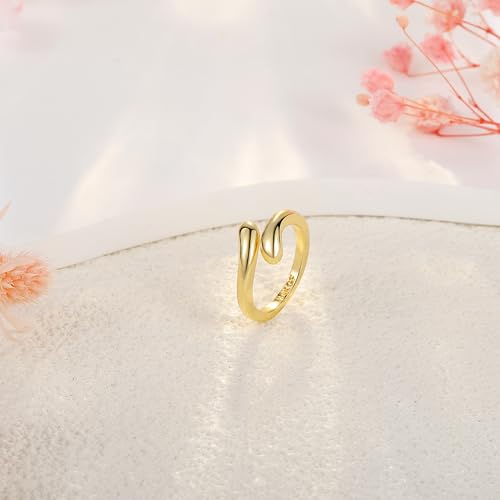 Staligue 20pcs Adjustable Toe Rings Set for Women Fingers Joint Tail Summer Beach Arrow Flower Open Rings Foot Jewelry - color: Gold-B