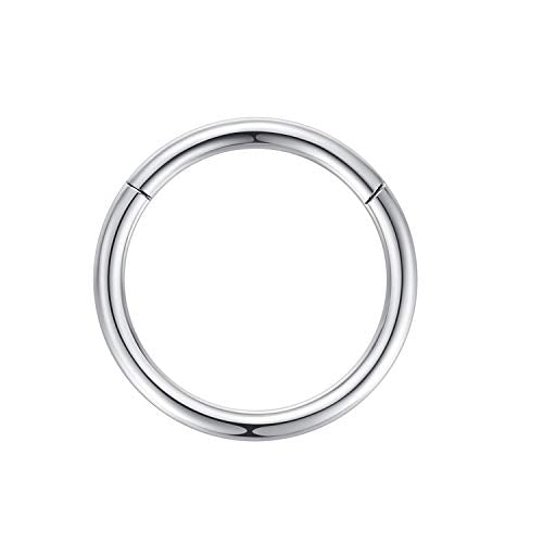 ORANGELOVE Hypoallergenic Nose Rings 20G 18G 16G 14G 12G 10G 8G 316l Surgical Steel Septum Jewelry Hinged Segment Ring Body Piercing Nose Hoop Lip Rings Nose Helix Cartilage Rook Earrings - color: Silver, size: 1pc 14 Gauge 14mm