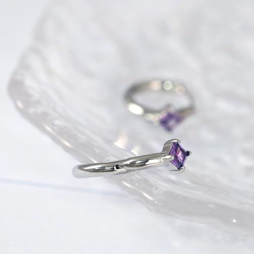 316L Surgical Steel Birthstone Hoop Earrings for Women | Lightweight, 5A Cubic Zirconia, Hypoallergenic, Lead & Nickel Free, 8mm Huggie Hoops - color: Silver: 02. February (Amethyst)