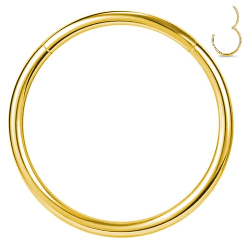 1pcs Women Men Titanium Hinged Nose Rings Hoop 20G 18G 16G 14G 12G Clicker Hoop for Nostril Septum Cartilage Helix Daith Tragus Rook Conch Lip Ear Lobe Piercings 6mm/7mm/8mm/9mm/10mm/11mm/12mm/14mm/16mm Silver-Gold-Rose Gold-Black - color: Gold, size: 14G