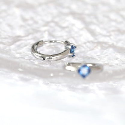 316L Surgical Steel Birthstone Hoop Earrings for Women | Lightweight, 5A Cubic Zirconia, Hypoallergenic, Lead & Nickel Free, 8mm Huggie Hoops - color: Silver: 12. December (Tanzanite)