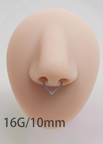 HQLA 16G Nose Hoop Ring Septum Ring Clear CZ Daith Earring Surgical Steel Hinged Segment Seamless Clicker Tragus Rook Helix Cartilage Conch Hoop Piercing Jewelry for Women men 8mm 10mm - style: 16G-10MM-Teardrop-Steel